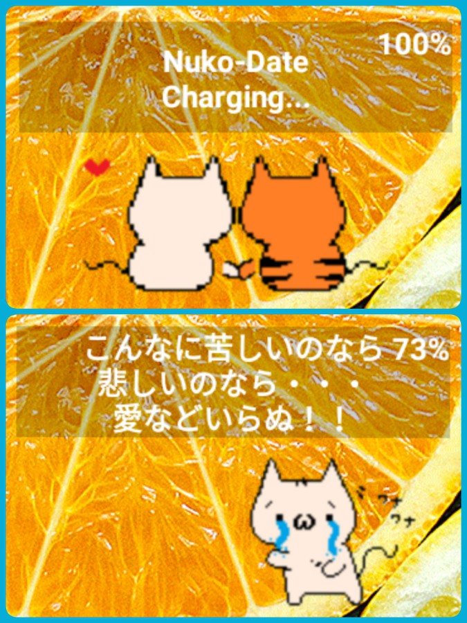 ルーちゃん☆様 投稿詳細｜MOTOCLE