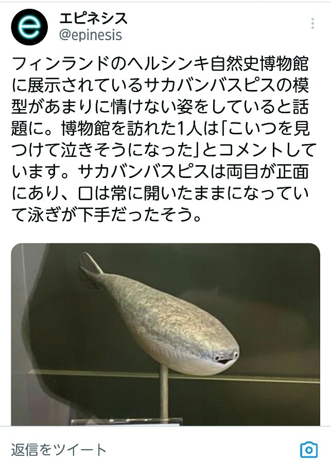 トシニャン様宛 QMA e-pass2枚 クイズマジックアカデミー 軌跡の交叉 -Xross Voyage-