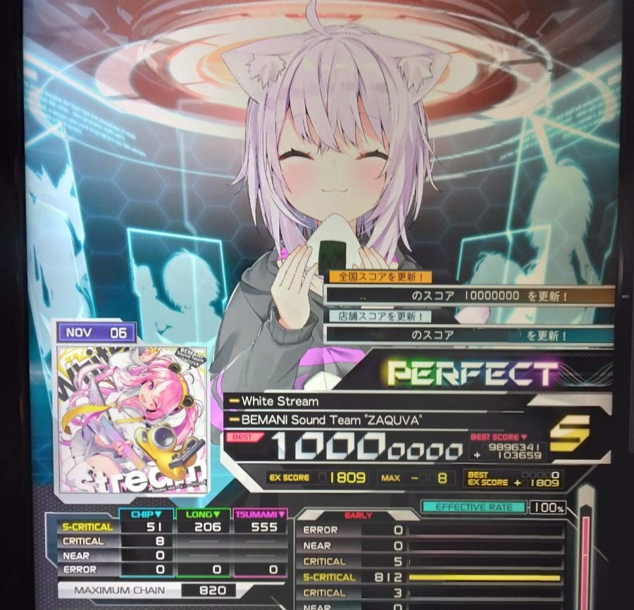レイシス ロングクッションカバー SDVX